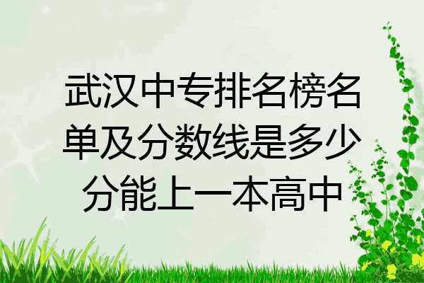 武汉中专排名榜名单及分数线是多少分能上一本高中