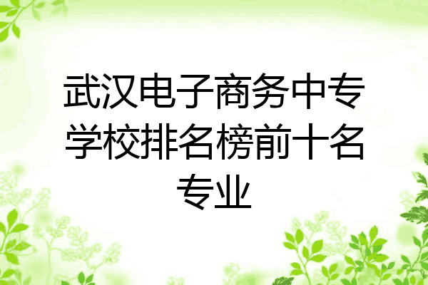 武汉电子商务中专学校排名榜前十名专业