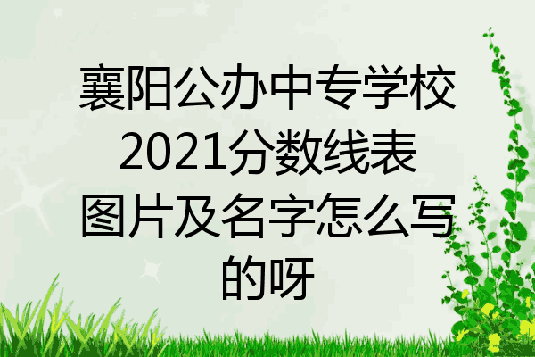 襄阳公办中专学校2021分数线表图片及名字怎么写的呀
