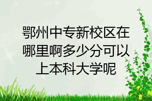 鄂州中专新校区在哪里啊多少分可以上本科大学呢