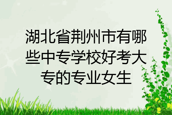湖北省荆州市有哪些中专学校好考大专的专业女生