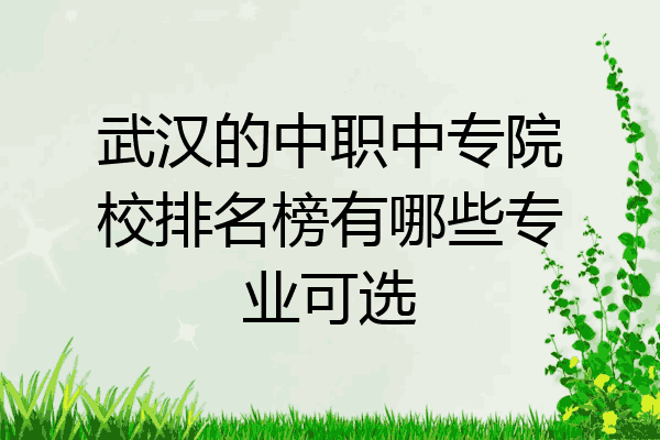 武汉的中职中专院校排名榜有哪些专业可选
