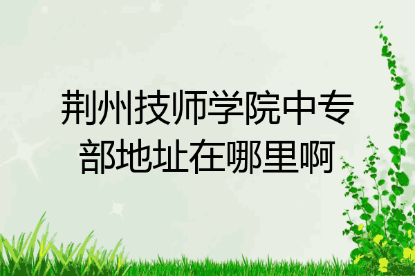荆州技师学院中专部地址在哪里啊