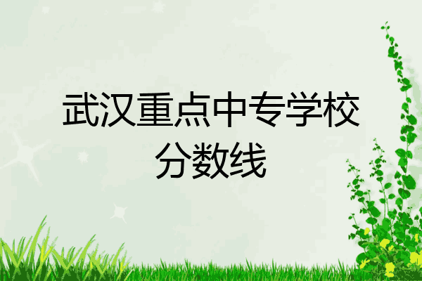 武汉重点中专学校分数线