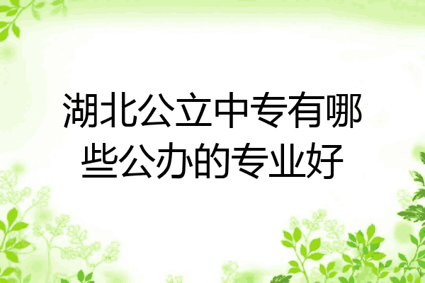湖北公立中专有哪些公办的专业好