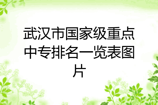 武汉市国家级重点中专排名一览表图片
