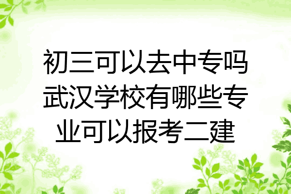 初三可以去中专吗武汉学校有哪些专业可以报考二建