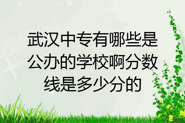 武汉中专有哪些是公办的学校啊分数线是多少分的