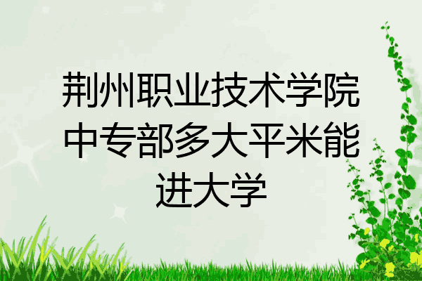 荆州职业技术学院中专部多大平米能进大学