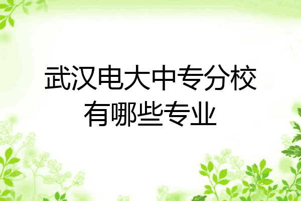 武汉电大中专分校有哪些专业