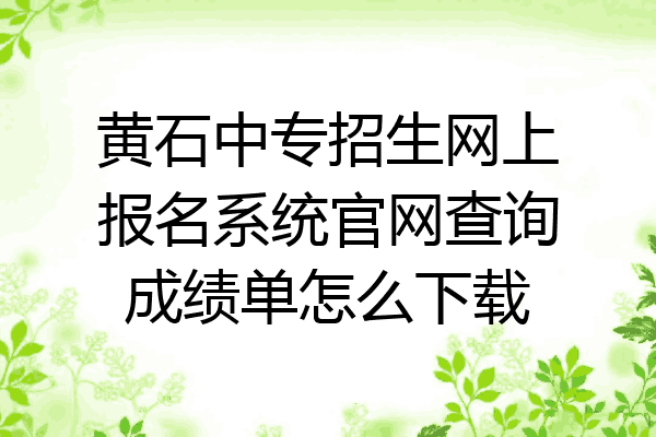 黄石中专招生网上报名系统官网查询成绩单怎么下载