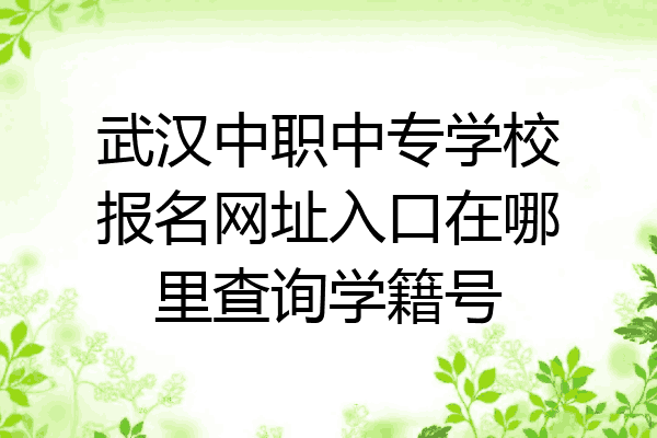 武汉中职中专学校报名网址入口在哪里查询学籍号
