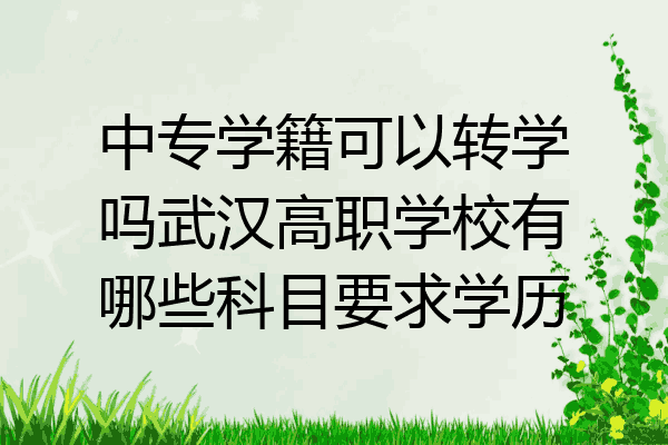 中专学籍可以转学吗武汉高职学校有哪些科目要求学历