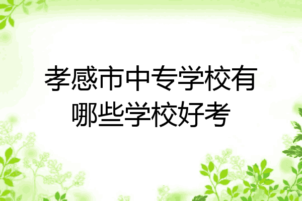 孝感市中专学校有哪些学校好考
