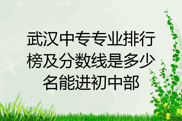 武汉中专专业排行榜及分数线是多少名能进初中部