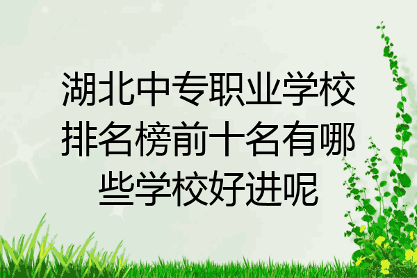 湖北中专职业学校排名榜前十名有哪些学校好进呢
