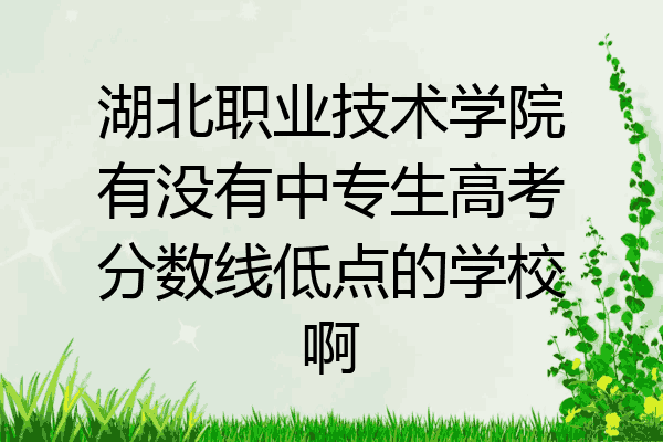 湖北职业技术学院有没有中专生高考分数线低点的学校啊
