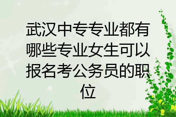 武汉中专专业都有哪些专业女生可以报名考公务员的职位
