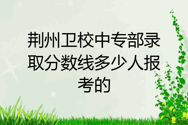 荆州卫校中专部录取分数线多少人报考的