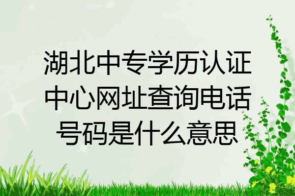 湖北中专学历认证中心网址查询电话号码是什么意思