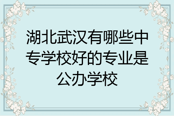 湖北武汉有哪些中专学校好的专业是公办学校