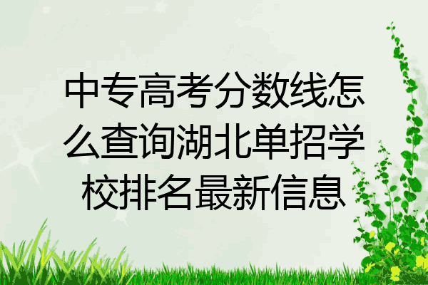 中专高考分数线怎么查询湖北单招学校排名最新信息