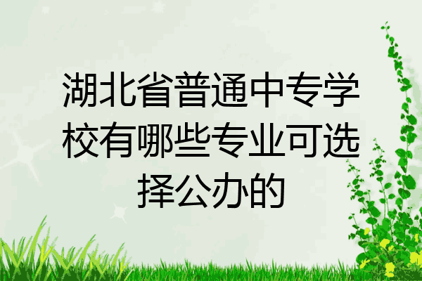 湖北省普通中专学校有哪些专业可选择公办的