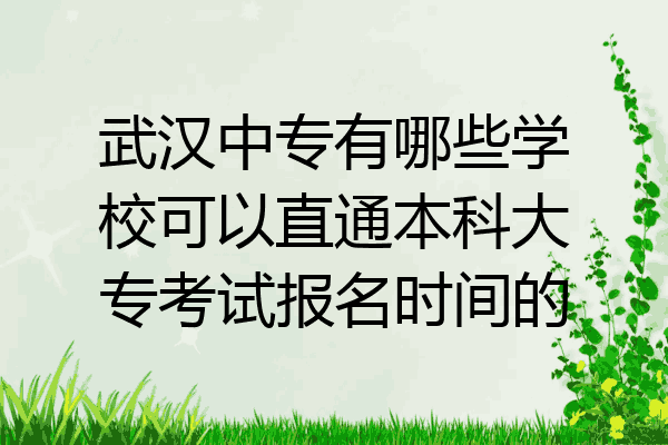 武汉中专有哪些学校可以直通本科大专考试报名时间的