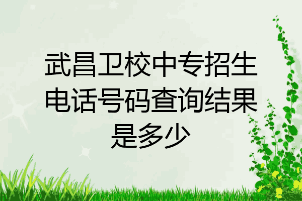 武昌卫校中专招生电话号码查询结果是多少