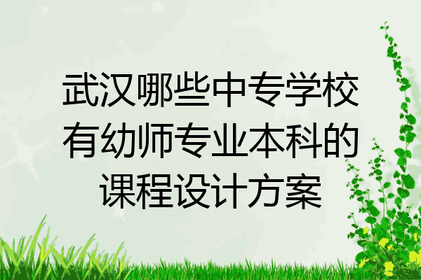 武汉哪些中专学校有幼师专业本科的课程设计方案