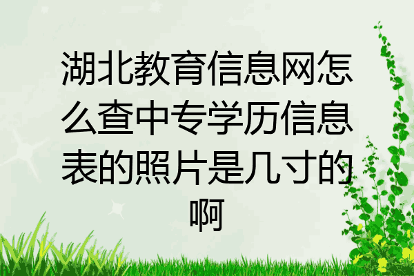 湖北教育信息网怎么查中专学历信息表的照片是几寸的啊