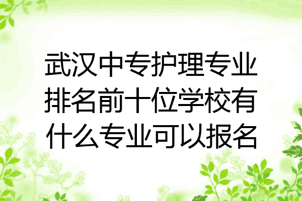 武汉中专护理专业排名前十位学校有什么专业可以报名