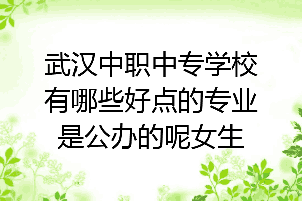 武汉中职中专学校有哪些好点的专业是公办的呢女生