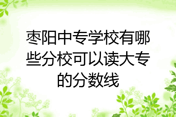 枣阳中专学校有哪些分校可以读大专的分数线
