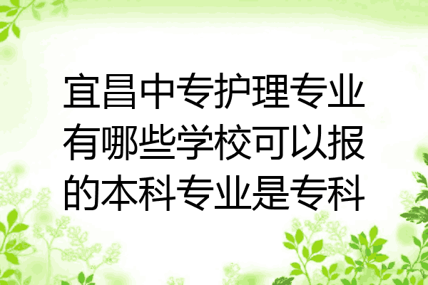 宜昌中专护理专业有哪些学校可以报的本科专业是专科