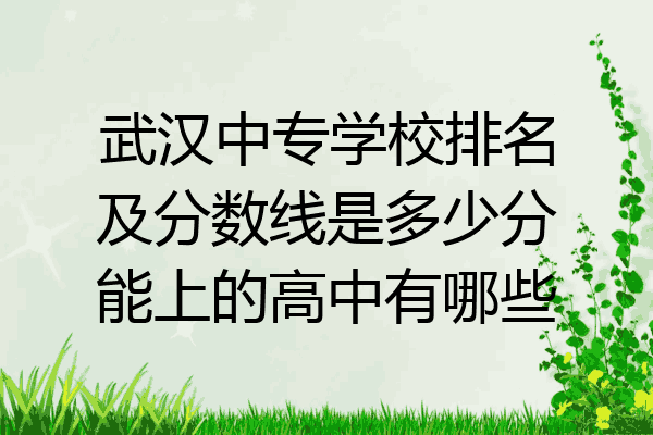 武汉中专学校排名及分数线是多少分能上的高中有哪些