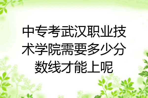 中专考武汉职业技术学院需要多少分数线才能上呢