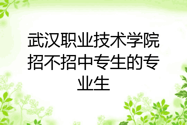 武汉职业技术学院招不招中专生的专业生