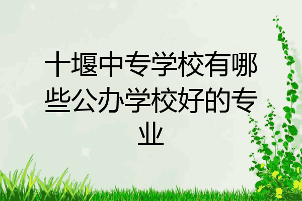 十堰中专学校有哪些公办学校好的专业