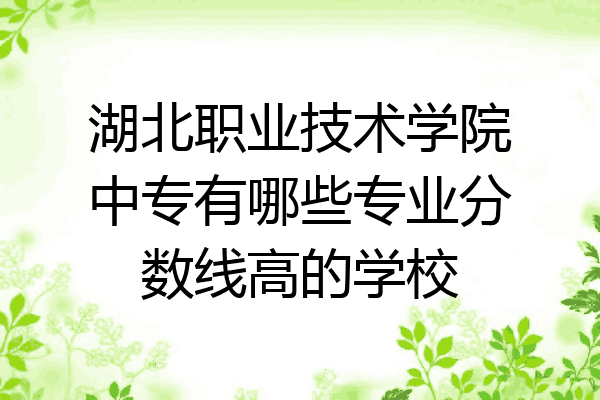 湖北职业技术学院中专有哪些专业分数线高的学校