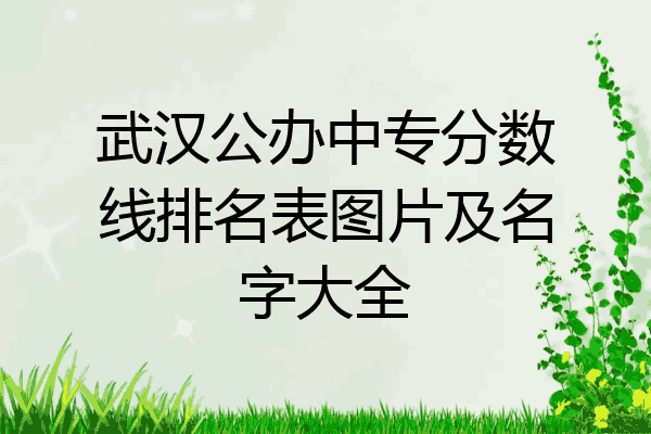 武汉公办中专分数线排名表图片及名字大全
