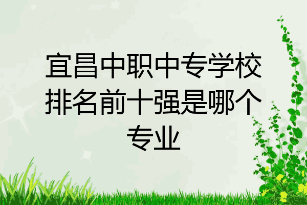 宜昌中职中专学校排名前十强是哪个专业