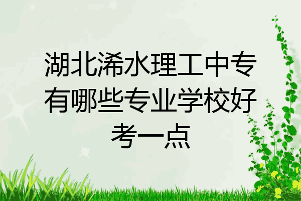 湖北浠水理工中专有哪些专业学校好考一点