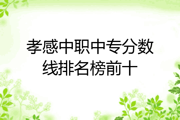 孝感中职中专分数线排名榜前十
