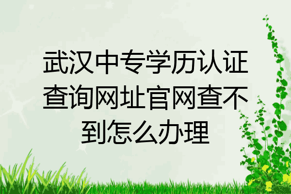武汉中专学历认证查询网址官网查不到怎么办理