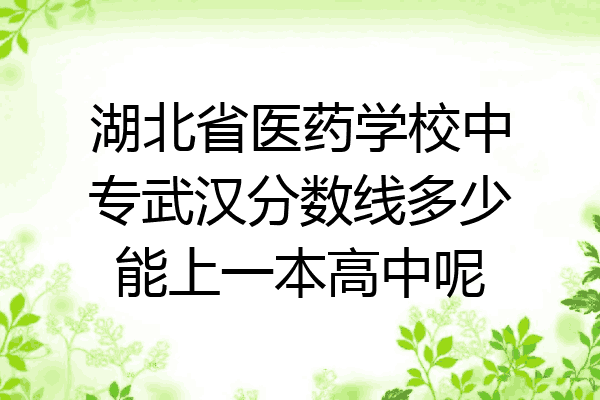 湖北省医药学校中专武汉分数线多少能上一本高中呢