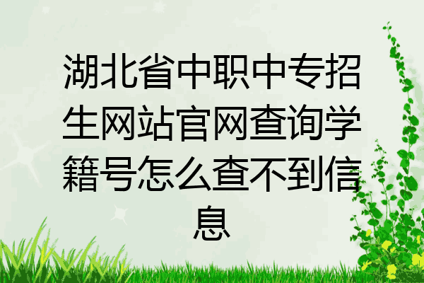 湖北省中职中专招生网站官网查询学籍号怎么查不到信息