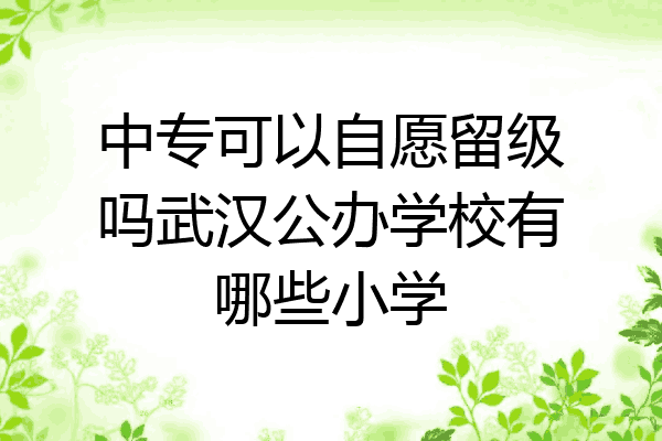 中专可以自愿留级吗武汉公办学校有哪些小学