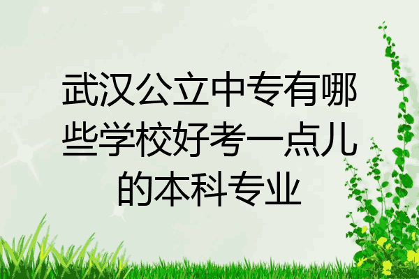 武汉公立中专有哪些学校好考一点儿的本科专业