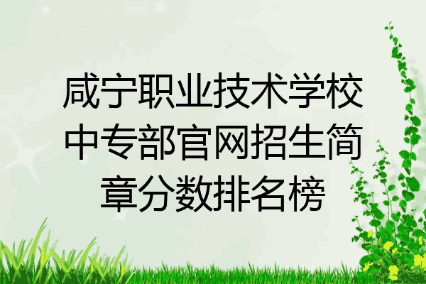 咸宁职业技术学校中专部官网招生简章分数排名榜